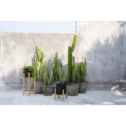 Timeless Artisan Crafted Luxury in Black Natural Materials