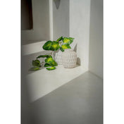 Timeless Handmade Concrete Vase - Artisan Crafted Luxury Design