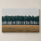 Line of Pines horizontal canvas standalone