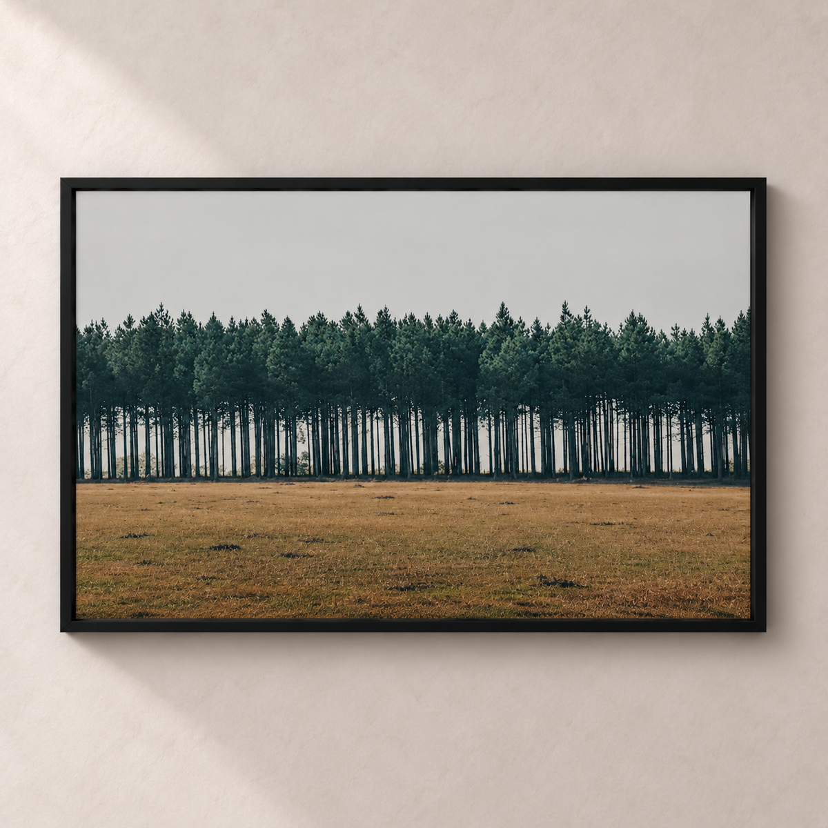 Line of Pines - Horizontale poster