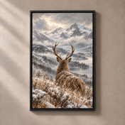 FNR frame preview black | Where winter holds still