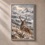 FNR frame preview silver | Where winter holds still